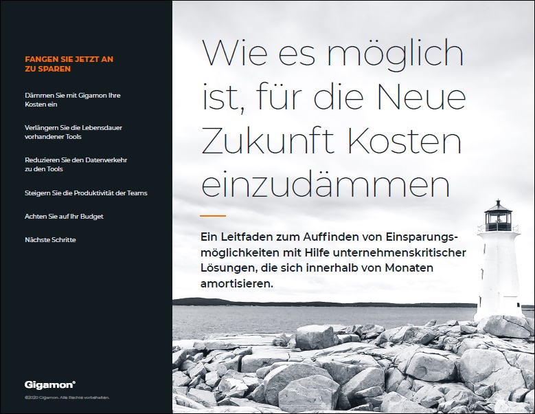 Wie es möglich ist, für die Neue Zukunft Kosten einzudämmen