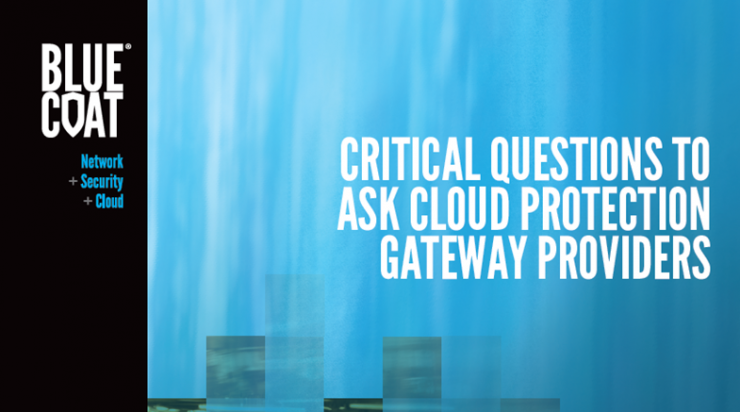 bcs_wp_Critical_Questions_to_Ask_CPG_Providers_EN_1a