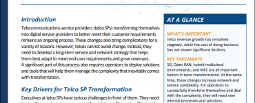 Successful telecom transformation requires network and process changes